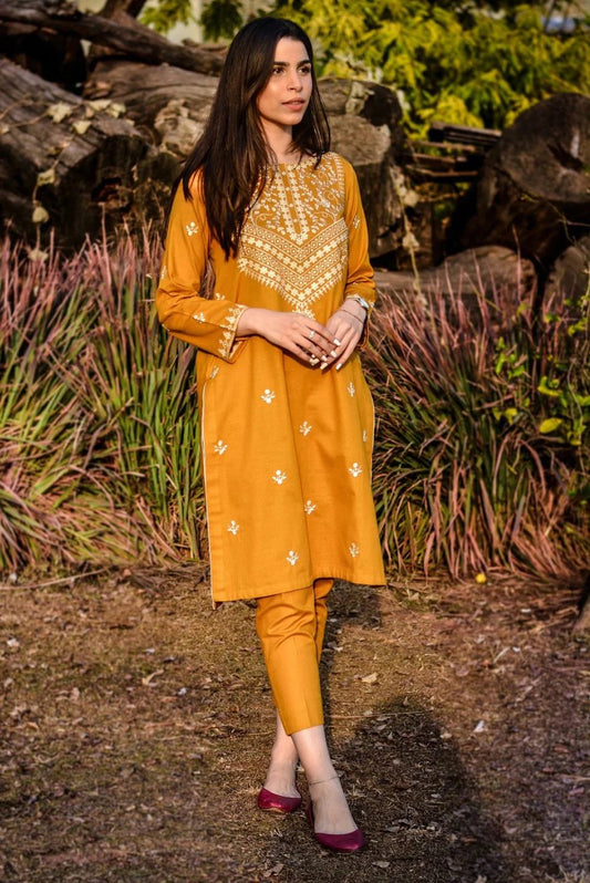 2 Piece Beautiful Embroidery neckline and sleeves - Yellow